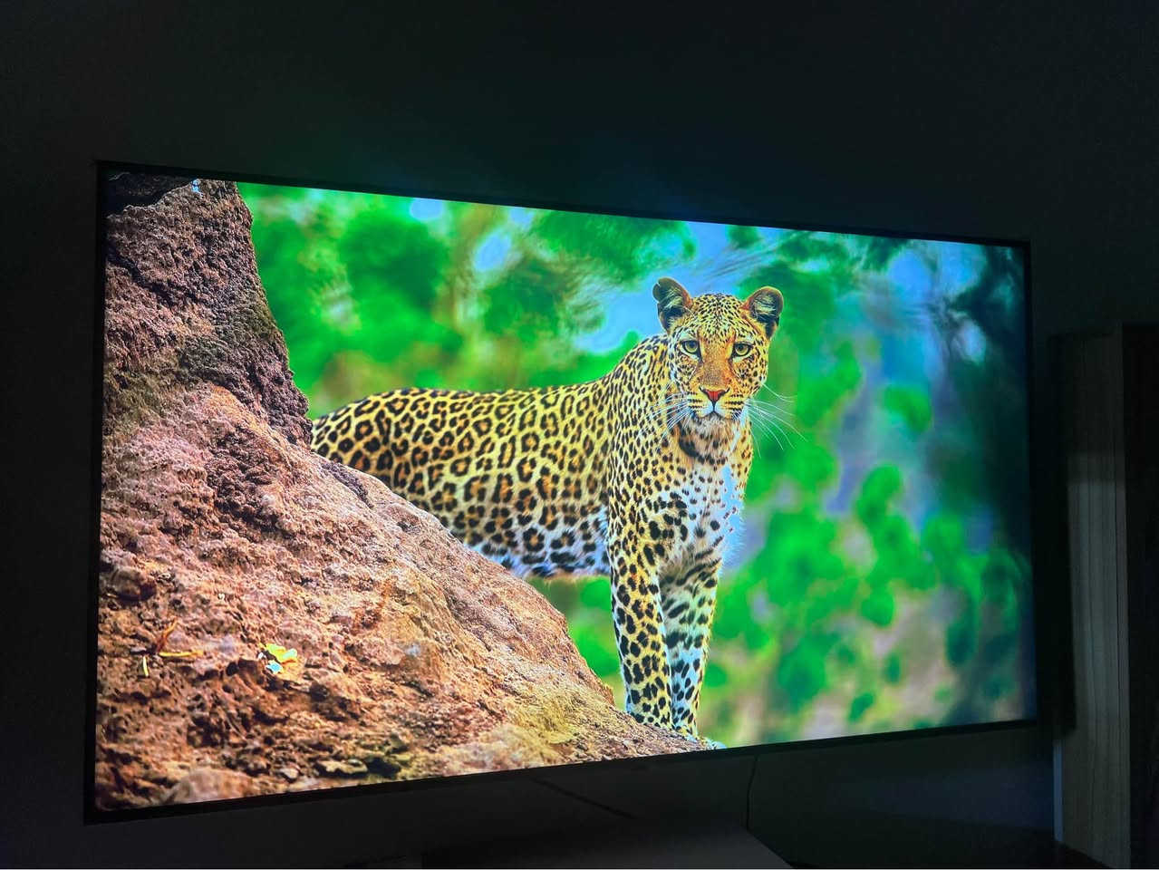 إل جي وكالة • 4K UHD • ٦٥ بوصة