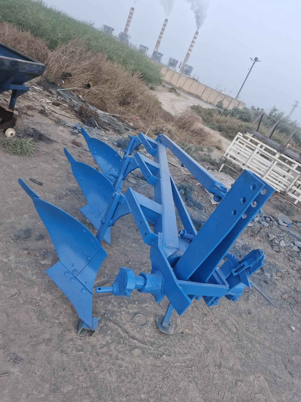 فدان • ايطالي • واسط الزبيدية