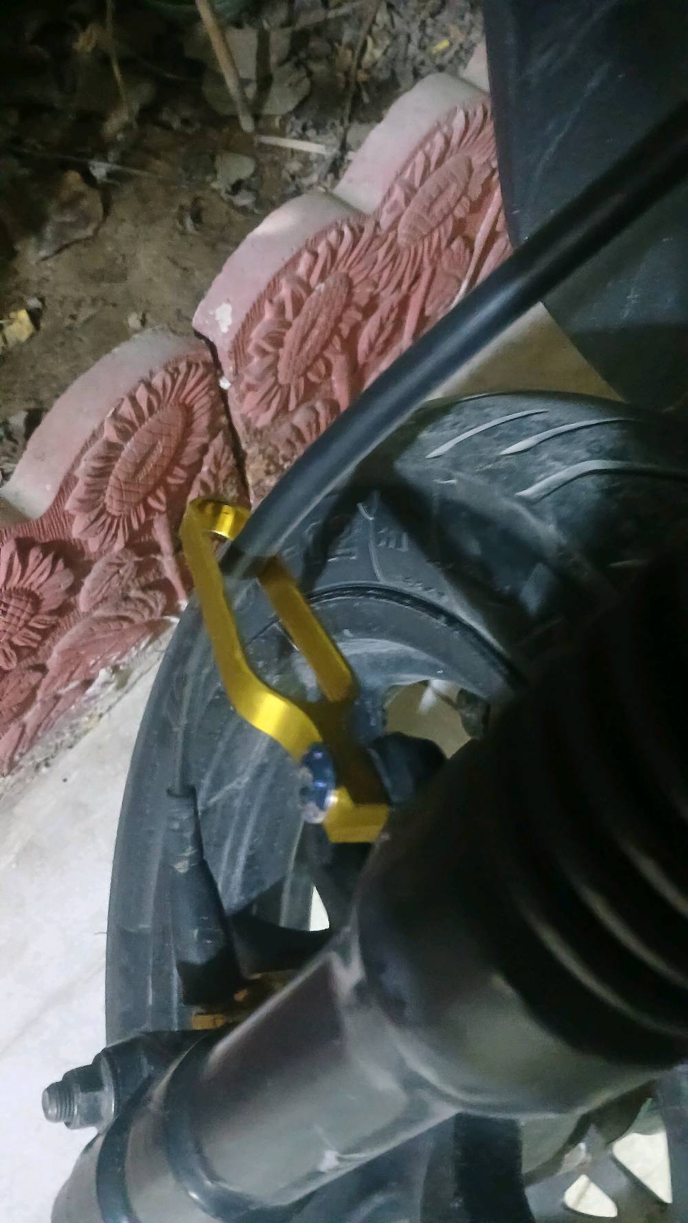 سكنس جبلي • ٢٠١٥ • تنومة