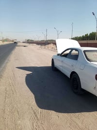 شيزر • نفخ • باسمي
