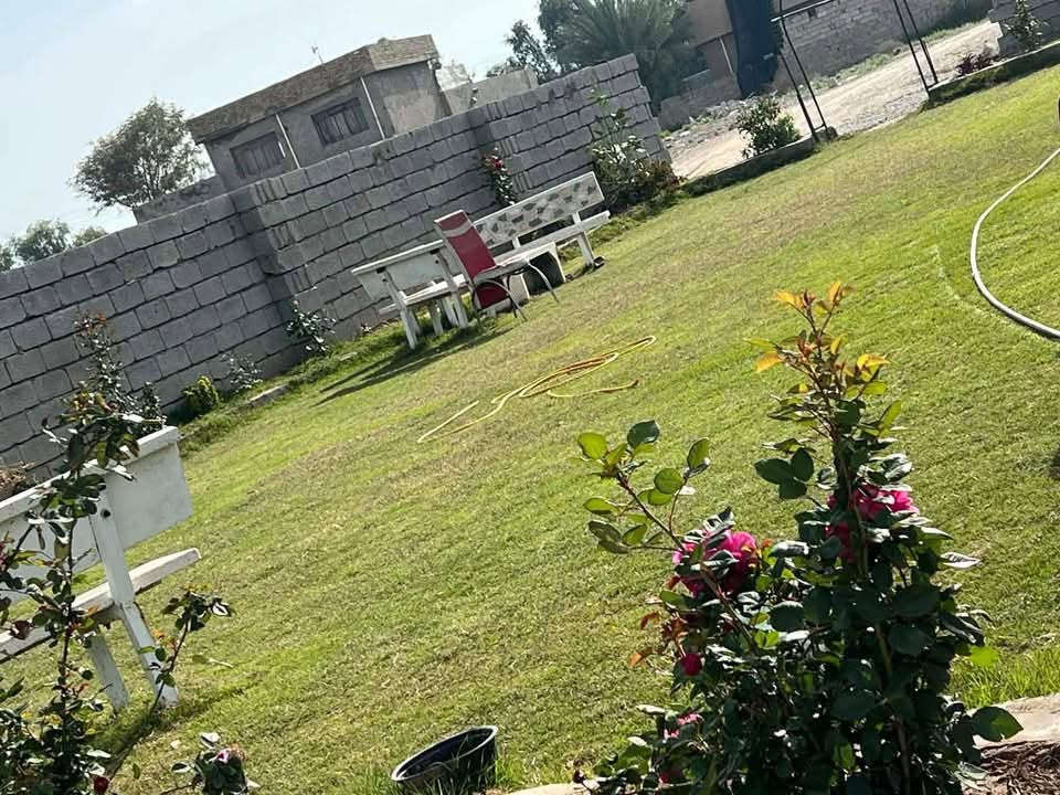 السلام عليكم/ قطعة ارض مساحة 1150 متر طابو25 زراعي مشيد داخلها بيت حديث مساحة350 متر بلاضافة الى حديقة خارجية مساحة 300 متر  علما البناء سنة 2025 يتكون من 3 غرف نوم وهول وحولي ومطبخ حار وبارد واستقبال  ومخزن خارجي فقط الكاشي لم يكتمل / العنوان تاجي الحماميات قرب قاعة الحديد  امام الملعب التساعي/ اي ستفسار على رقم الاسيا يوجد واتساب‭***********
