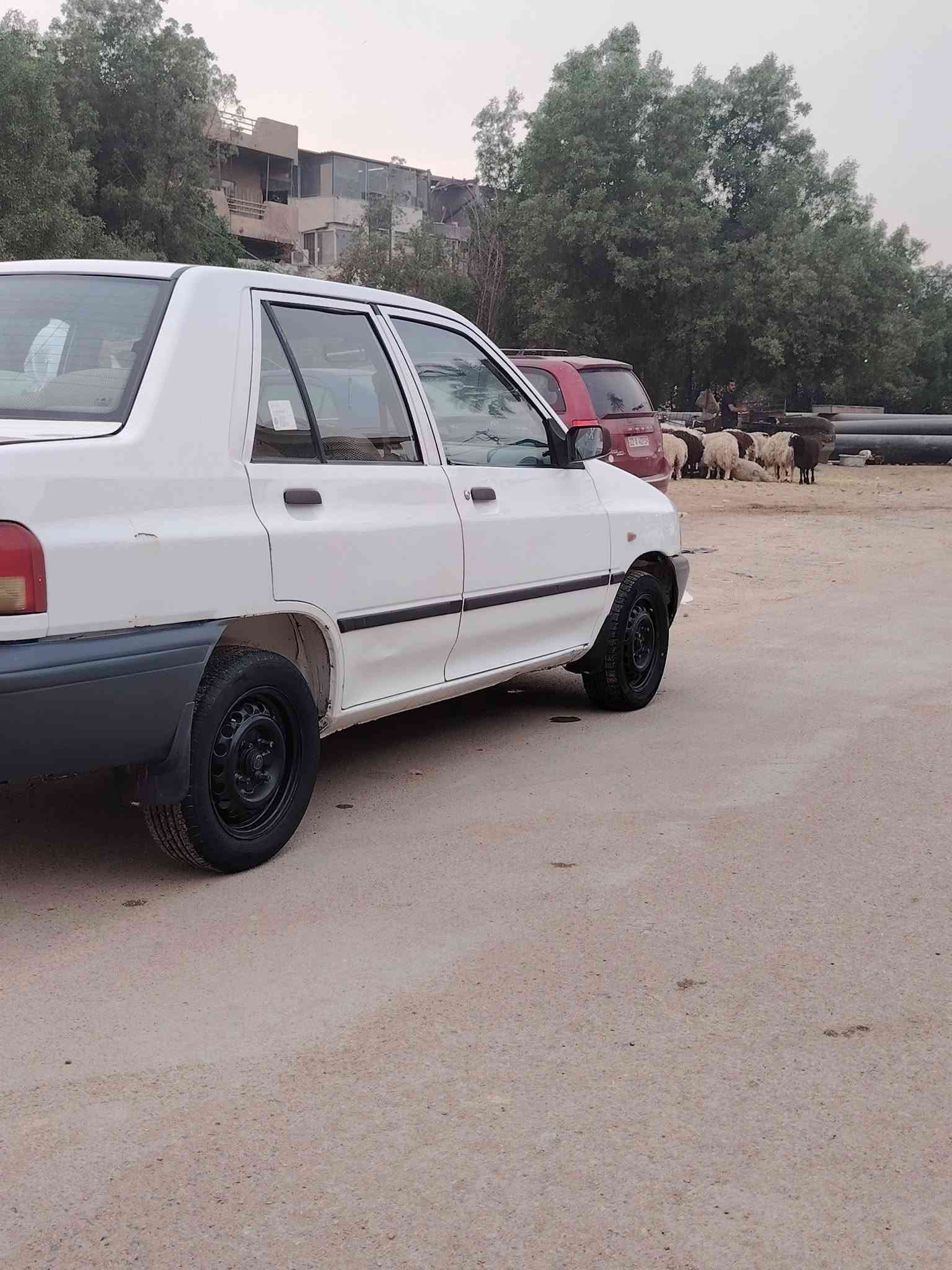 سايبا ٢٠١٨ • مكينة وكير مكفولة • تبريد ثلج