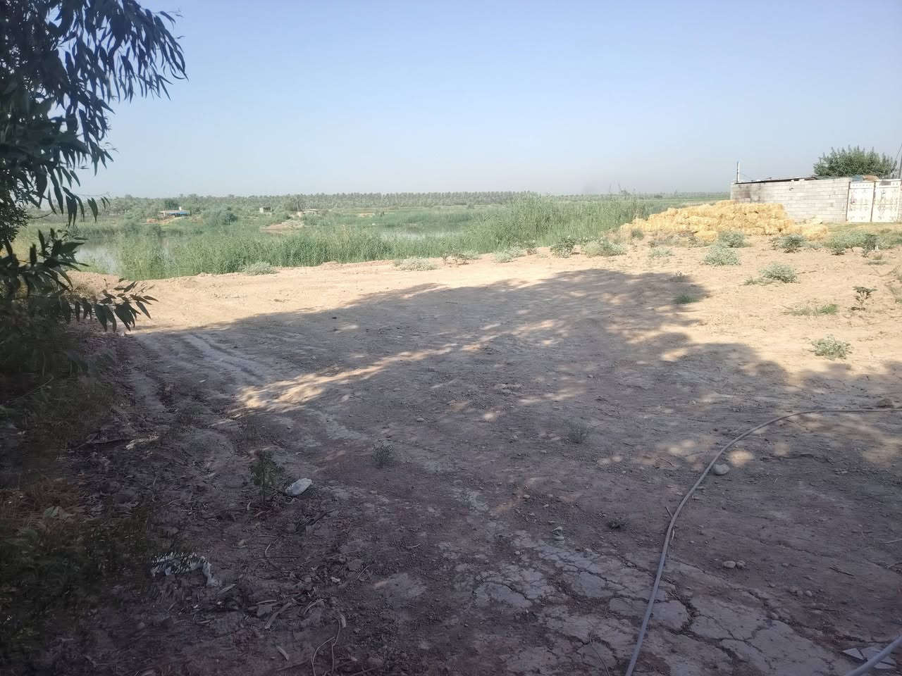 ارض زراعية للبيع شاطية المساحه دونم أله الموقع واسط العزيزية الدير الاوسط قرب بيت فارس العجه للتواصل ***********
