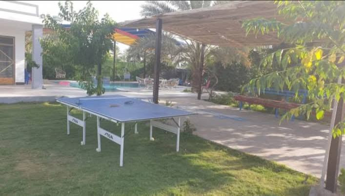 منتجع العامري فرع البعيثه منشور رقم131
يرحب بعوائلنا الكريمة🌺
المنتجع Vip يحتوي على منزل متكامل ومؤثث🏠
غرفتين نوم 🌫
صالة كبيرة ومؤثثة⛲️
مطبخ تركي متكامل ⛩️
صحيات داخلية وخارجية🛖
جلسات خارجية متنوعة 🏝
مسبح للكبار ٦ × ١٠ م 🏖
مسبح خاص للأطفال 🌫
حدائق 🏕
مكان شواء مودرن ⛩️
العاب كبار - بلياردو - منضدة - فيشة🏓
العاب اطفال متنوعة⛳️🚲
كراج يتسمع ٦ سيارات 🚘🚘

انترنت ٢٤ ساعة
كهرباء ٢٤ بدون انقطاع🌐***********
