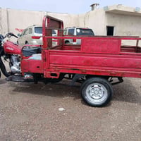ستوته سلطان • موديل ١٥ • مكفوله