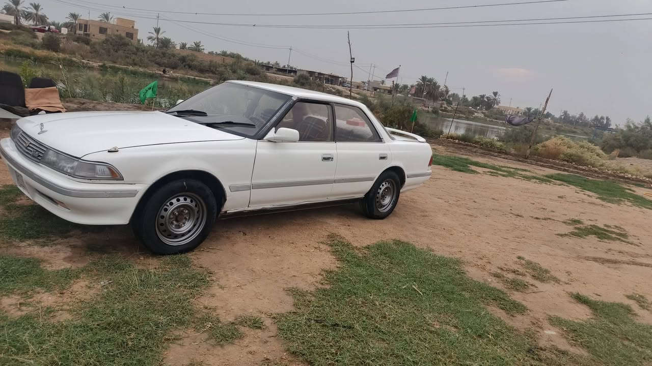 مارك • ذي قار • سوق الشيوخ