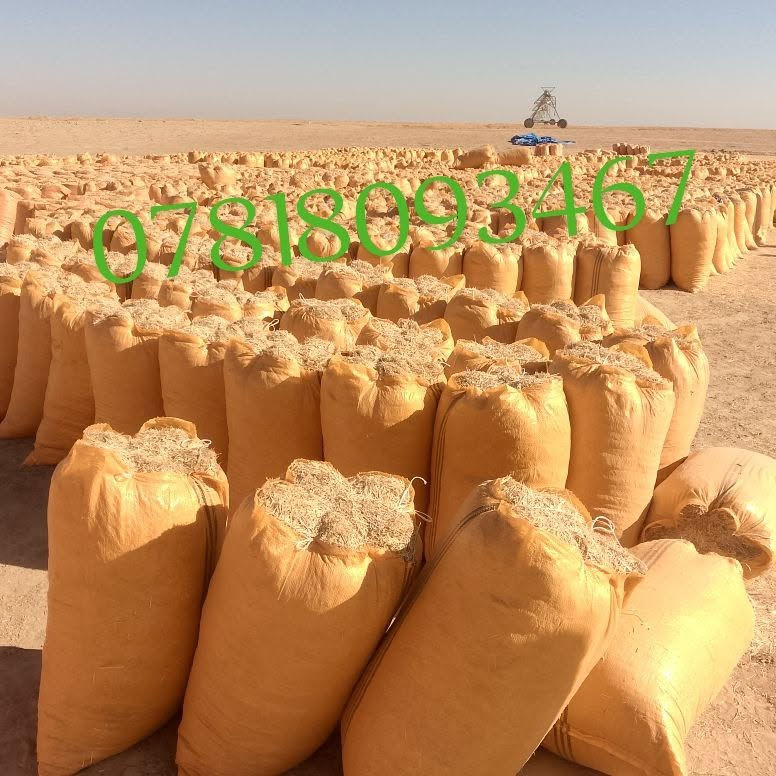 السلام عليكم يوجد تبن فول الزوج 2500 بالمكان يوجد توصيل جميع محافظة العراق والكميه مفتوحه الاتصال على الرقم ***********/***********
