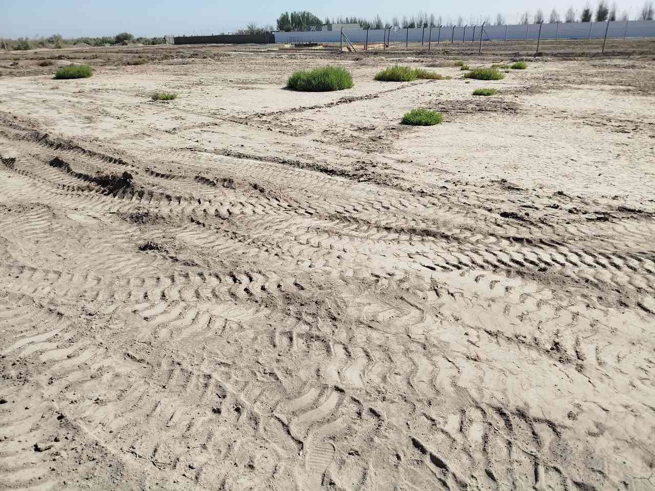 السلام عليكم يتوفر قطع اراضي زراعيه تصلح بناءللسكن ومزارع العنوان طريق السنيه السياحي قريبه عل مزرعه الروشه حديقه الحيوانات وقريبه عله مجمع الفرات السكني  شرط المداور سند 25 العثماني المساحات من  500 لل دونم اي ستفسار اتواصل .. ***********
***********
