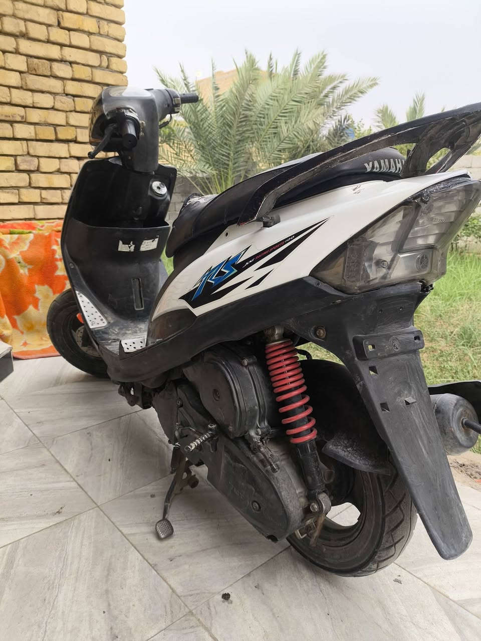 ماكس عدلة • مجال