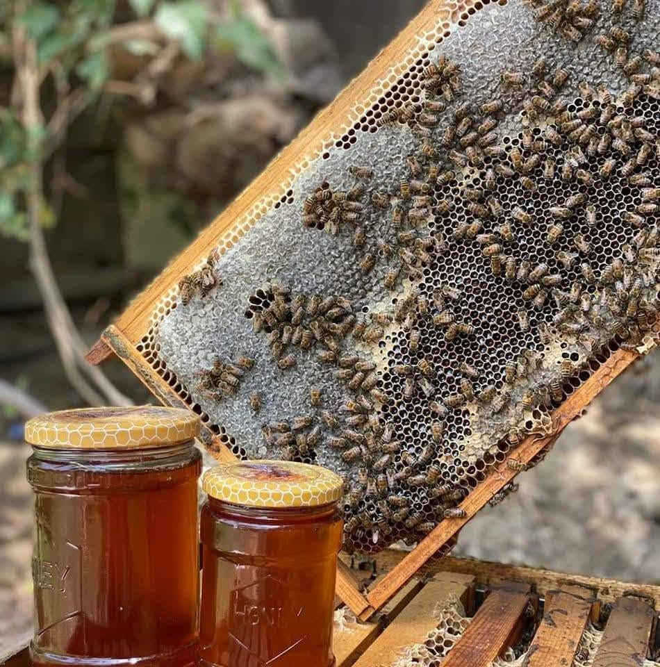 🍯 عسل الجيلاوية - AL-JILAWIYAH HONEY 🍯
طبيعي فاخر 100% 👑

عسل بلدي أصلي من مناحلنا الخاصة في بابل - بدون إضافات وبدون مواد حافظة
من خلايا النحل مباشرة إلى مائدتك ❤️

✨ فوائده:
🔸 يقوي المناعة والطاقة
🔸 طبيعي 100% مضمون
🔸 طعم لا يُنسى

💯 ضماننا: مو طبيعي؟ لك حق ترجعه وتاخذ فلوسك!

📍 العنوان: بابل - المسيب - الجيلاوية - عمود 73
📞 للطلب والاستفسار: ***********
🚚 توصيل لمسيب 

#عسل_الجيلاوية #عسل_طبيعي #عسل_بلدي #عسل_بابل #عسل_اصلي #منحل_المسعودي #عسل_فاخر #منتج_عراقي

نص مكتوب في الصور:
- طبيعي 100% بدون إضافات بدون مواد حافظة ضمان جودة / سعر مناسب ضمان الاسترجاع مو طبيعي؟ لك حق ترجعه وتآخذ فلوسك! عسل مغربج عسل النسور عسل مسنير عسل التحلي بابل - المسيب - الجيلاوية عمود 73 ***********