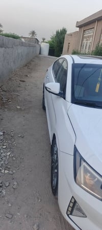الانتره • ٢٠١٩ • بابل