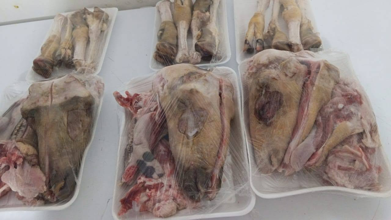 عرض يومين • بمبارات وباجة • توصيل