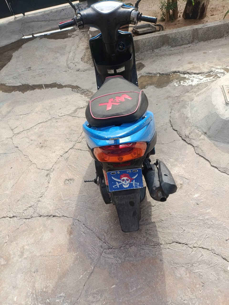 ماكس عدلة • للبيع