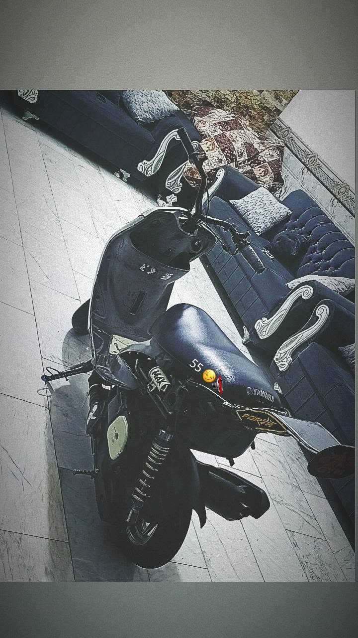 ٥٥ • شلعه • فول نعومه