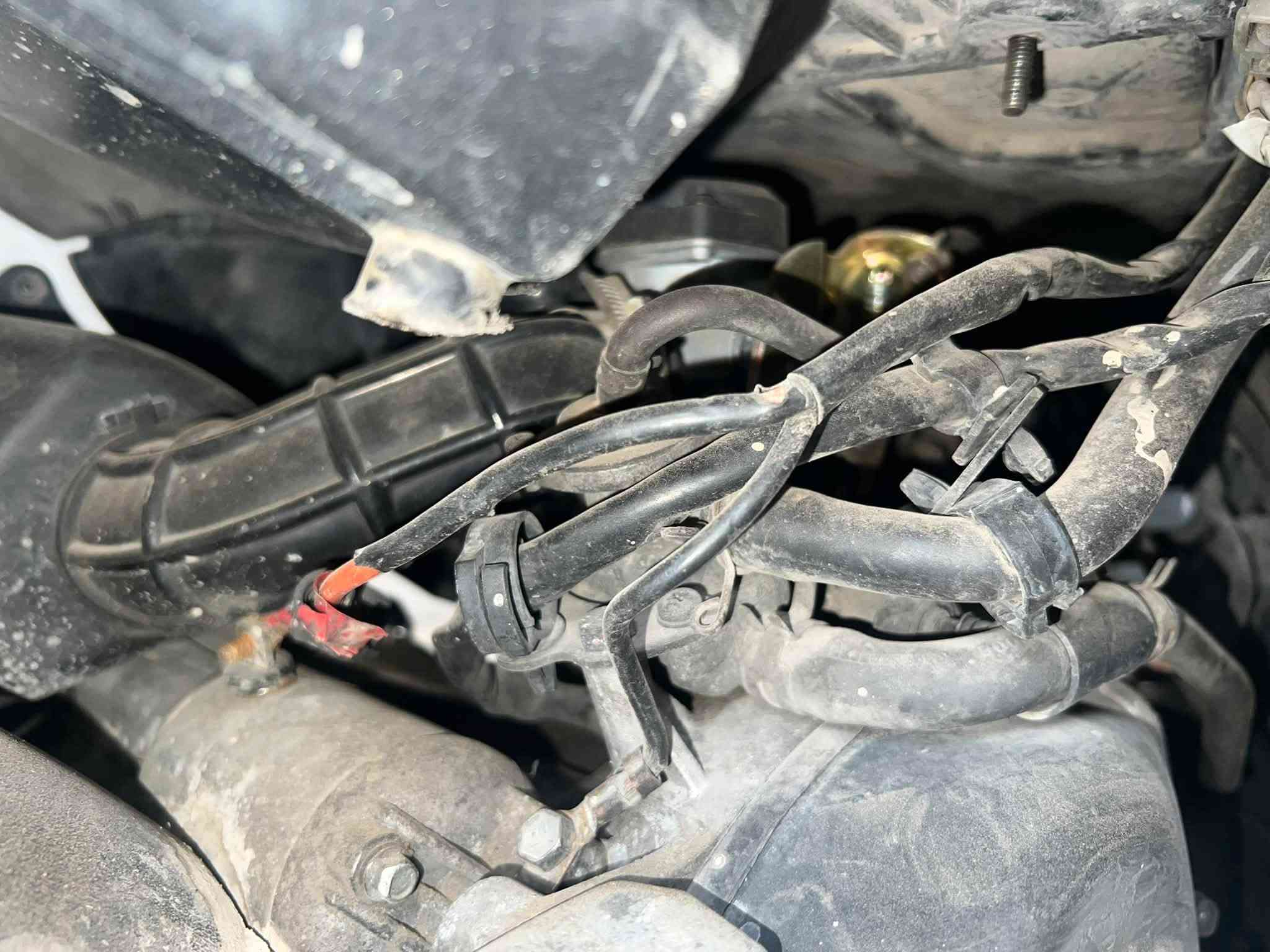 ماكس • ١٤٠ • مكفولة