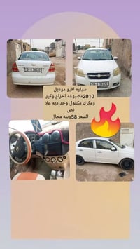افيو ٢٠١٠ • نص مصبوغ • حزام وكير مكفول
