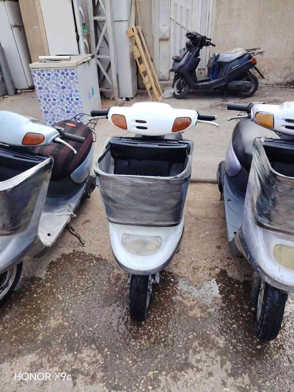 بطه • منغولي • موديل 99