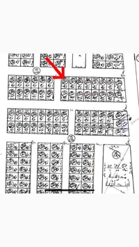شهداء السياسيين • ٢٥٠م • طابو