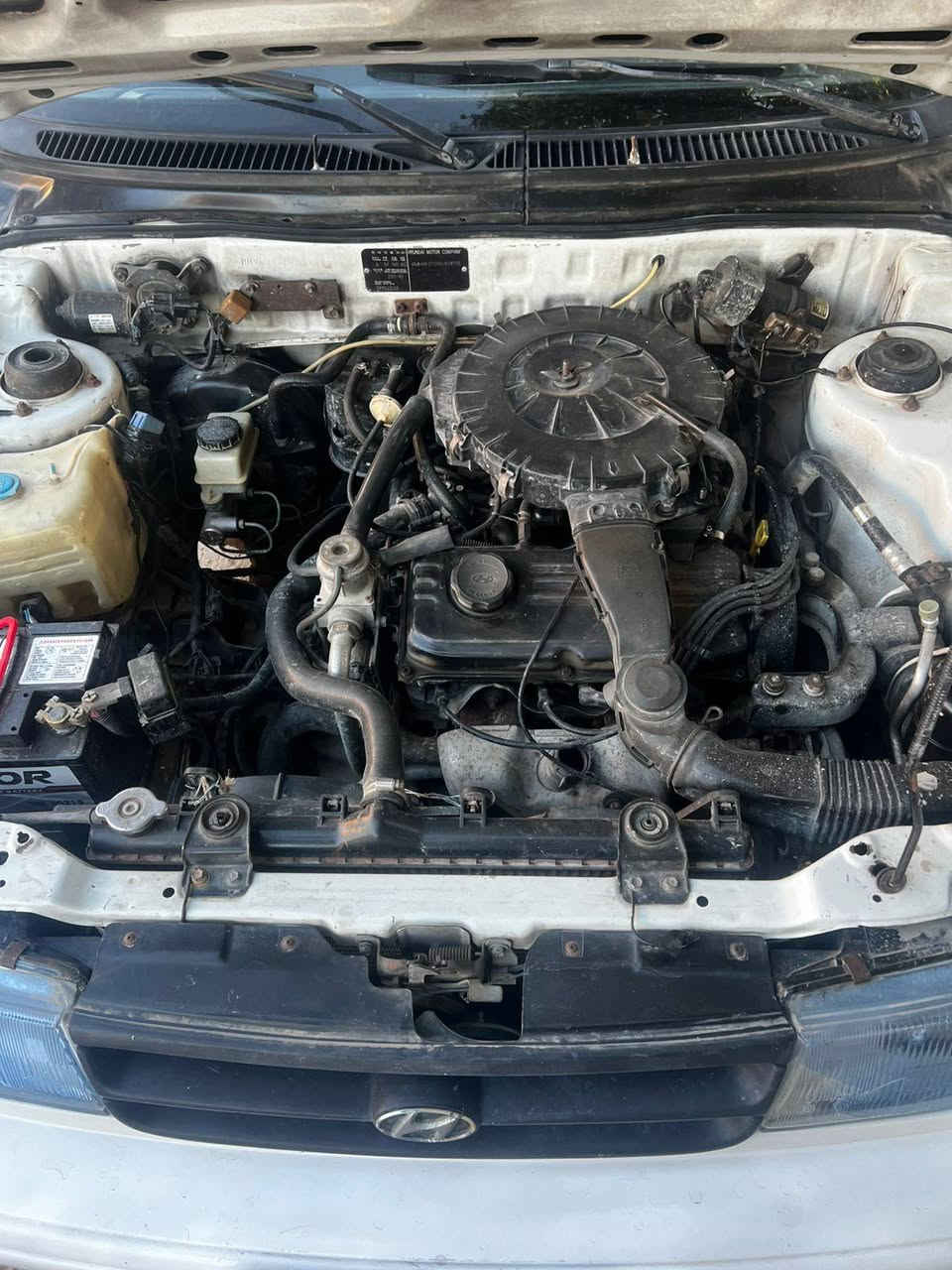 للبيع هيونداي أكسيل لون أبيض 1994 كير اوتوماتيك 
رقم بغداد هزه  وسنويه لحد 2031
🚗 السيارة شغالة وتمشي بصورة طبيعية
✅ المحرك بحالة جيدة
 ✅ الهيكل مرتب كما موضح بالصور. على وضع الشركه ما مصبوغه 
⚠️ المكيف لا يعمل (ما بيها تبريد)
⚠️ الكير بيه صفنة ويحتاج فحص أو تصليح
📄 أوراقها كاملة وجاهزة للنقل
سعرها 30 ورقه 
للاستفسار التواصل على الرقم: ( ***********)
*********** واتساب
