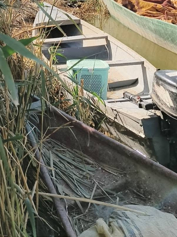 بلم بليت طوله 5 متر  مع مكينة توهاتسو صيني أم 5  ،  للبيع  ،  المكان الديوانية  ،  السعر 550  ، التواصل على الرقم ***********
