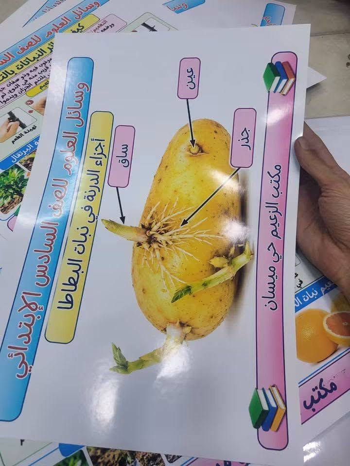 وسائل العلوم سادس • ٦٠ بوستر • حي ميسان