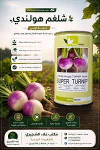 بذور شلغم • ميررو سيدز • الصويرة