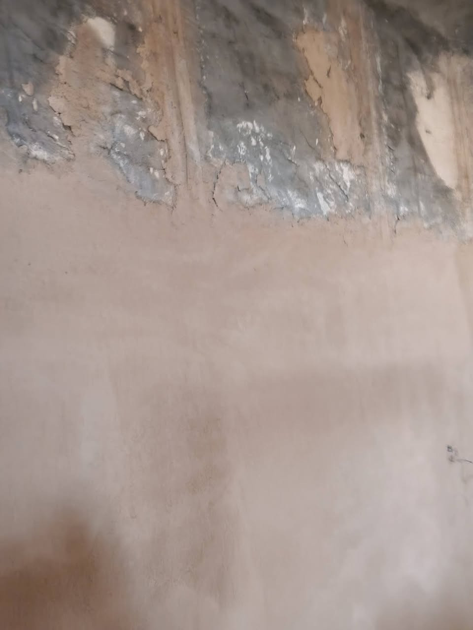 اسمنت • جص • الحله