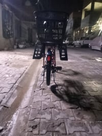 جبلي • ٢٠ • نجف