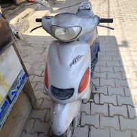 دولفين للبيع السعر 180 مكفوله وباقي تفاصل على خاص 07815372404