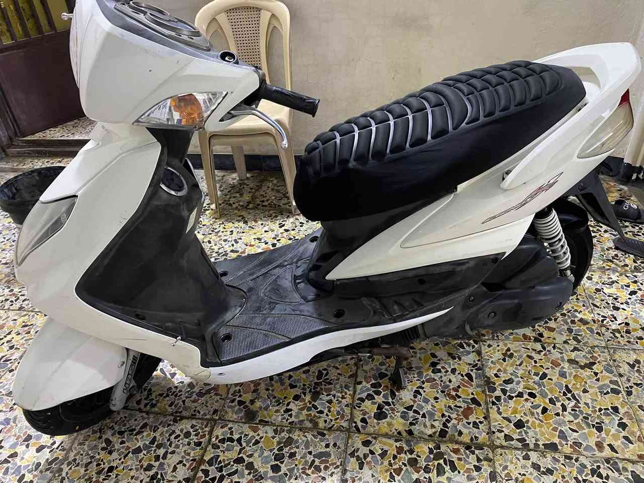 سكنس فحل • نضيفه • بلاديه