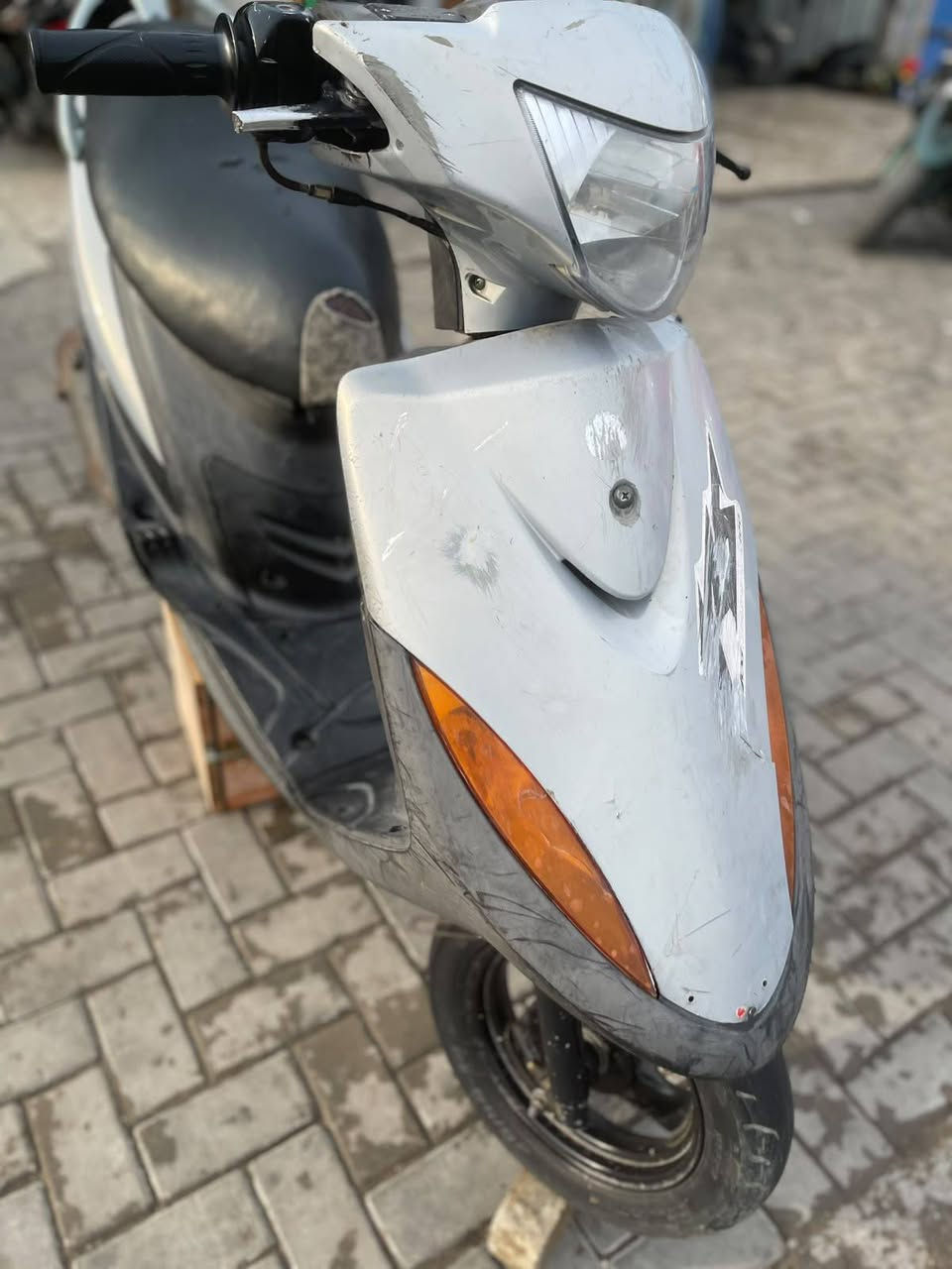 ماكس عدلة • بلادي • ٤٩