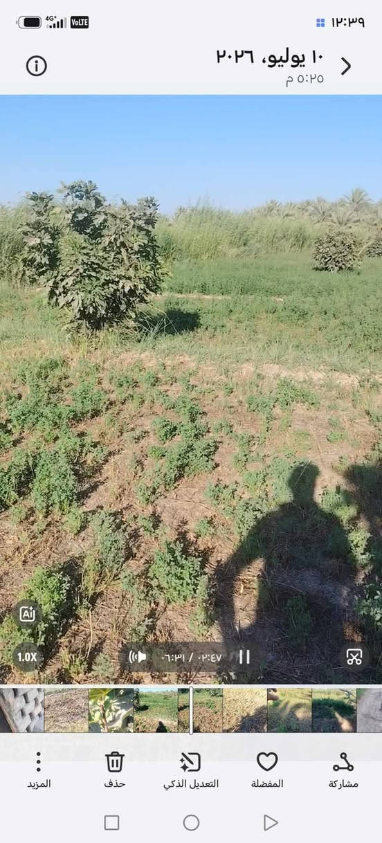 السلام عليكم لليريد ارض زراعيه المساحه 7 دونم اتريد نص منه ماكو مشكله جنس العقار طابو زراعي سند 25 تحويل سهم تحتوي ع 50 نخله حمال وبيه جديد متوفر مي سقي كهرباء العنوان السياحي قرية الرواشد تبعد عن شارع السياحي كيلو ونص قسم تبليط وقسم ترابي عرض الشارع 8 متر سعر الدونم الواحد 30 مليون وبيه مجال للاستفسار اكثر مراسلة الصفحه او الاتصال ع الارقام التاليه
***********
***********

نص مكتوب في الصور:
- ١٠ يوليو، ٢٠٢٦ ٥:٢٥ م ١.0X ٠:٣١ / ٠:٤٨ المزيد حذف التعديل الذكي المفضلة مشاركة ١٢:٣٦
- ١٠ يوليو، ٢٠٢٦ ٥:٢٥ م ٠١:٤٦ / ٠٦:٣١ التعديل الذكي المفضلة مشاركة حذف المزيد
- ١٢:٣٥ ١٠ يوليو، ٢٠٢٦ ٥:٢٥ م ١.0X ٠٠:١١ / ٠٦:٣١ المزيد حذف التعديل الذكي المفضلة مشاركة
- ١٢:٣٩
- ١٠ يوليو، ٢٠٢٦
- ٥:٢٥ م
- ١.٠X
- ٠:٣١ / ٠:٤٧
- المزيد
- حذف
- التعديل الذكي
- المفضلة
- مشاركة
- ١٠ يوليو، ٢٠٢٦ ٥:٢٥ م ١٢:٣٩ 1.0X ٠٢:٠٢ / ٠٦:٣١ المزيد حذف التعديل الذكي المفضلة مشاركة
- ١٠ يوليو، ٢٠٢٦ ٥:٢٥ م ١٢:٣٩ 1.0X ٠٢:٠٢ / ٠٦:٣١ التعديل الذكي المفضلة مشاركة حذف المزيد