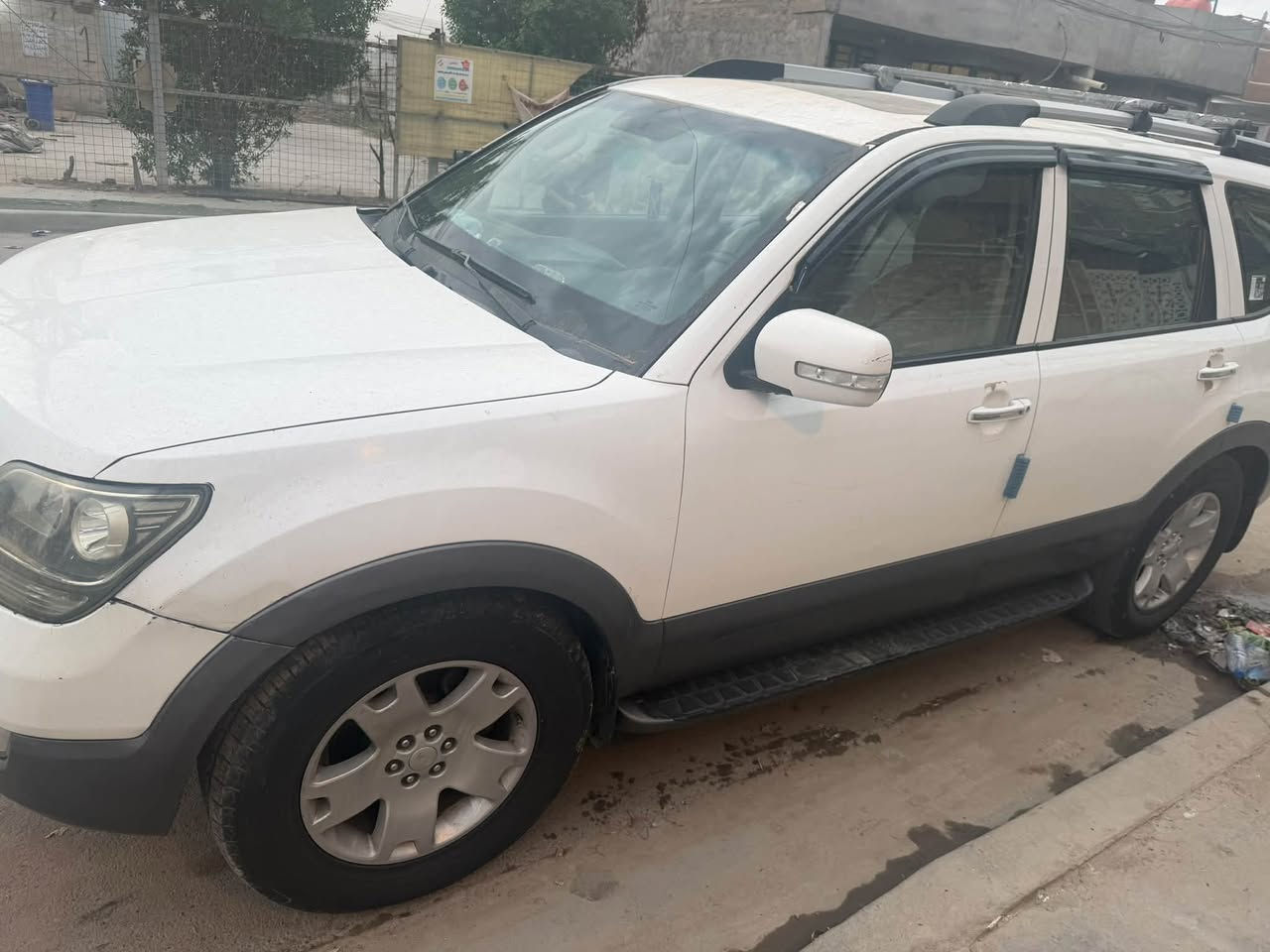 موهافي • ٢٠١٠ • صبغ وخدوش