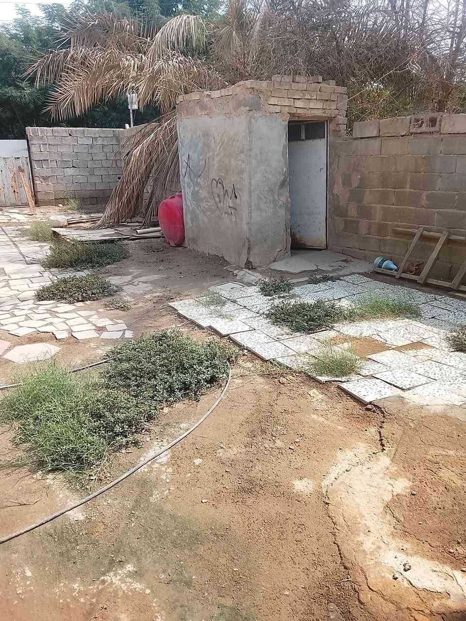 بيت • زراعي • سند ٢٥