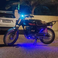 موديل ٢٠١٩ • بدون أوراق • سريعة