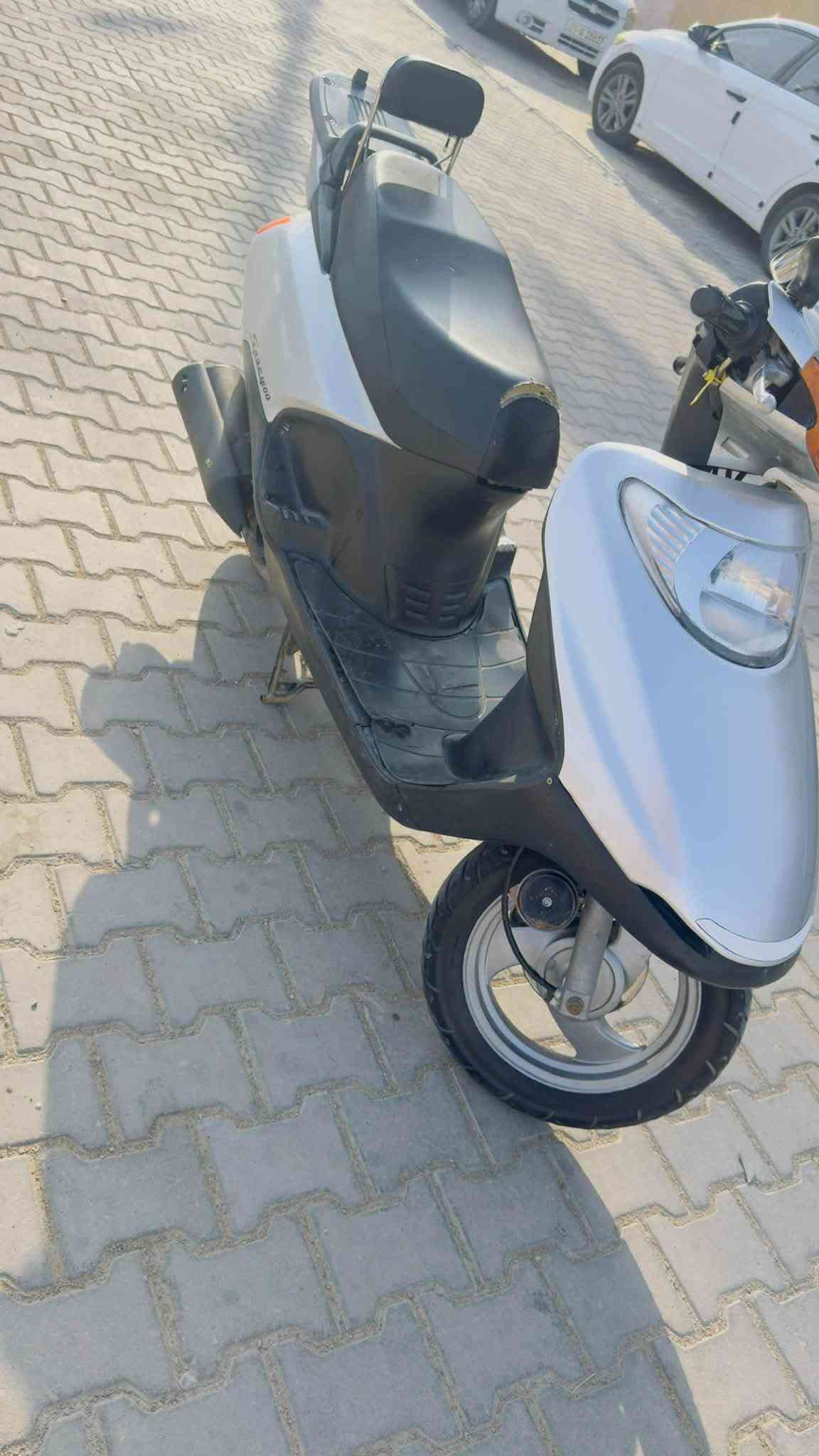 سبيسي • ياباني • سلف هندل