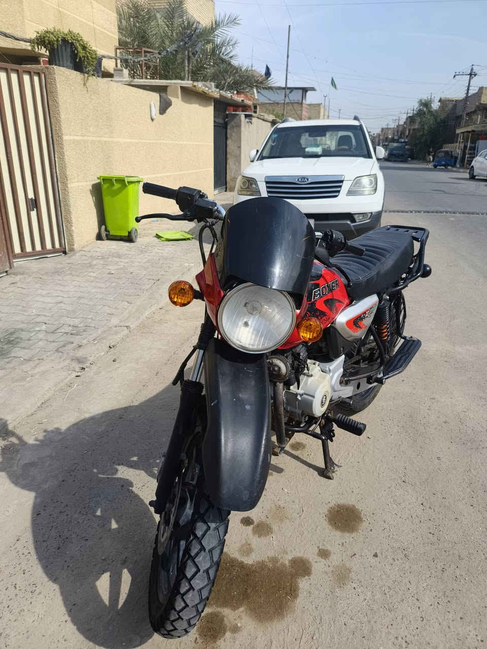 بوكسر جبلي • اوراق اصلية • نعومه المكينه
