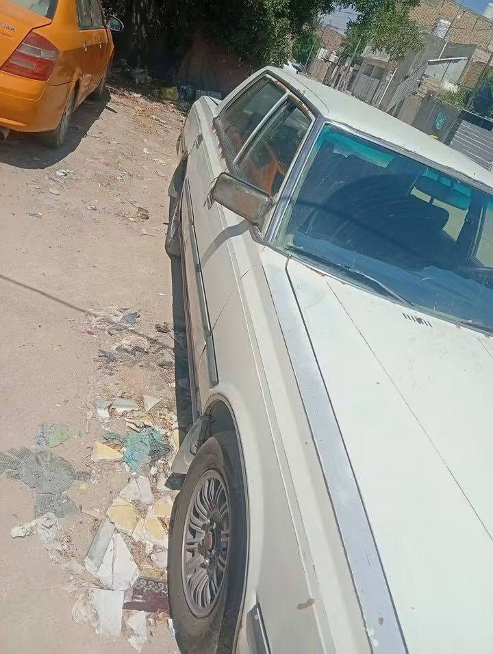 تشتغل راعية • موديل ١٩٨٣ • ناصريه مركز