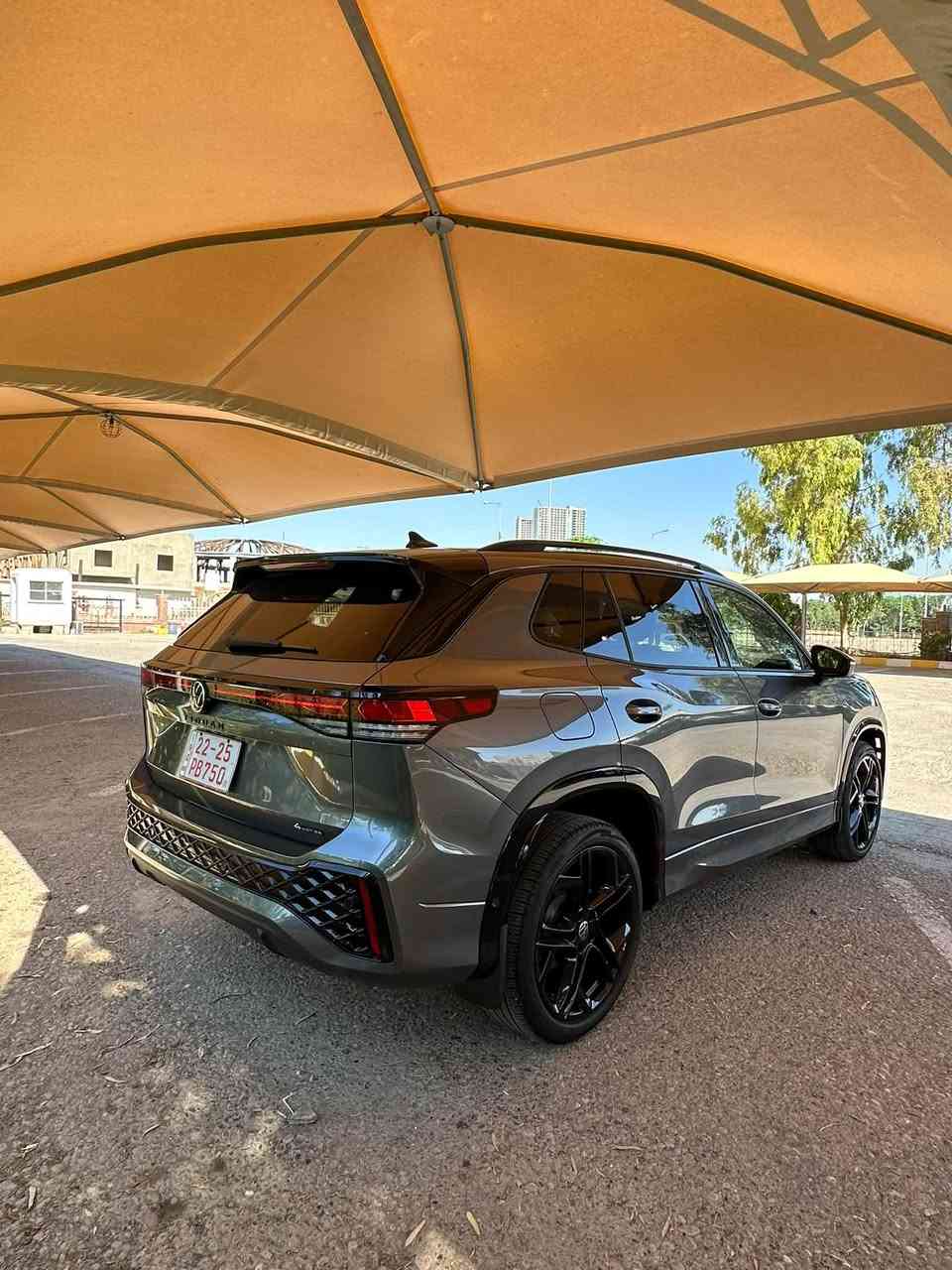 تيكوان • ٢٠٢٥ • بدون صبغ