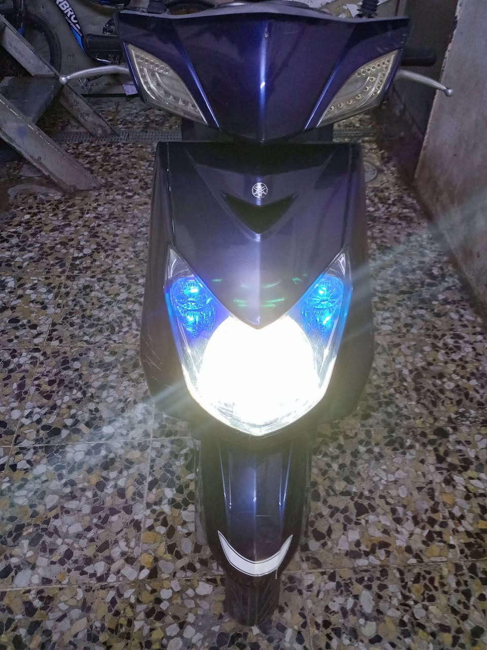 سكنس فحل • كابريتر • جديده