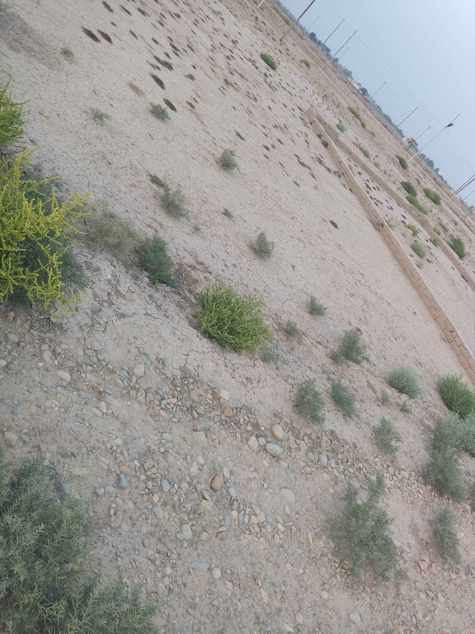 ٢٠٠م • ماي وكهرباء • قرب سجن الإصلاح
