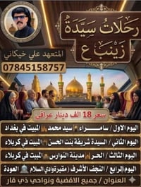 حملة سيدة زينب • النجف وادي السلام • كربلاء