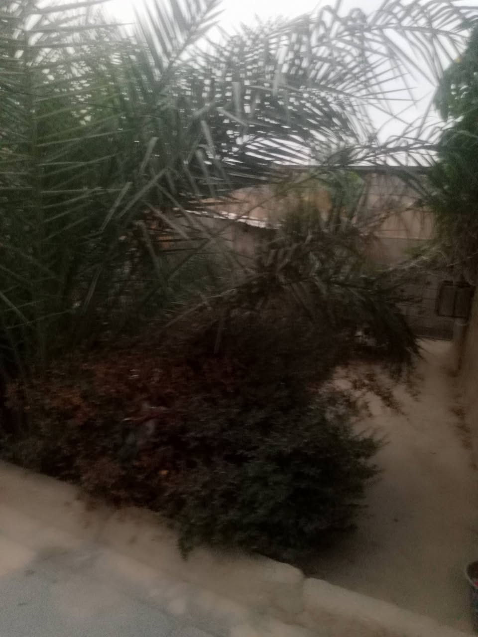 بيت للبيع • جسر ديالى القديم • حديقة كبيرة
