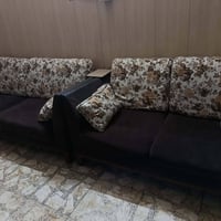 تخم قنفات تركي للبيع 4 قطع 07745129972