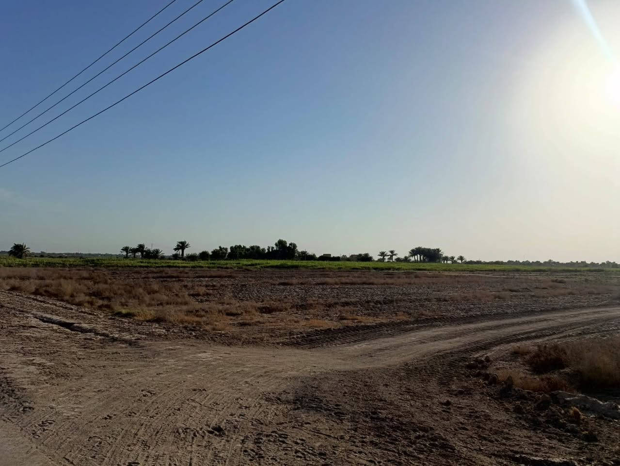 📣 أرض زراعية مميزة للبيع  📣الموقع: محافظة الديوانية - قضاء سومر.طريق السعيد قرب مدرسة الشموس 5 دقائق عن الولايه نوع السند القانوني: عقد 35 زراعي (رسمي وجاهز للتنازل)(15 دونم).الخدمات المتوفرة:🔹 واجهة على شارع تبليط (أسفلت) لسهولة الوصول.🔹 متوفر شبكة ماء إسالة.🔹  كهرباء.نهر مباشر من نهر الاسدل🔹 كافة الخدمات الأساسية متوفرة في المنطقة (موقع حيوي ومخدوم).📌 الأرض مثالية للاستثمار الزراعي، الحيواني، أو كأرض للمستقبل نظراً لتكامل خدماتها.
رقم الهاتف ***********
📣 أرض زراعية مميزة للبيع  📣الموقع: محافظة الديوانية - قضاء سومر.طريق السعيد قرب مدرسة الشموس 5 دقائق عن الولايه نوع السند القانوني: عقد 35 زراعي (رسمي وجاهز للتنازل)(15 دونم).الخدمات المتوفرة:🔹 واجهة على شارع تبليط (أسفلت) لسهولة الوصول.🔹 متوفر شبكة ماء إسالة.🔹  كهرباء.نهر مباشر من نهر الاسدل🔹 كافة الخدمات الأساسية متوفرة في المنطقة (موقع حيوي ومخدوم).📌 الأرض مثالية للاستثمار الزراعي، الحيواني، أو كأرض للمستقبل نظراً لتكامل خدماتها.
