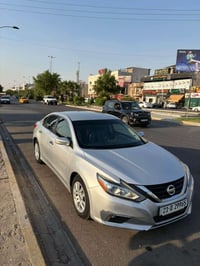 التيما • ٢٠١٦ • كركوك