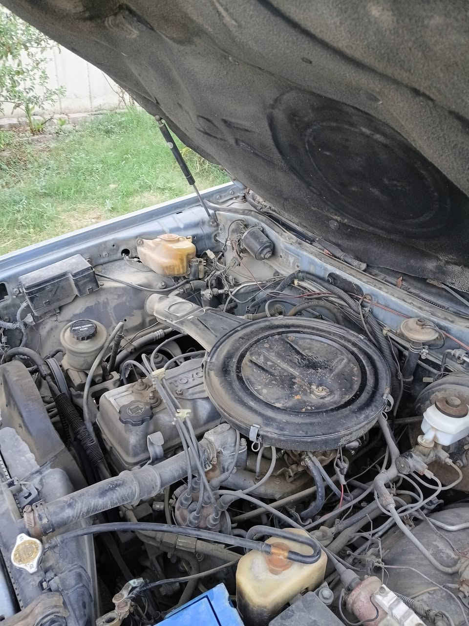 سوبر ٨٤ كير عادي محرك m5 مصبوغه عام بسمي رقم بغداد نكليزي سعر ٢٩ ورقه *********** زيونه
