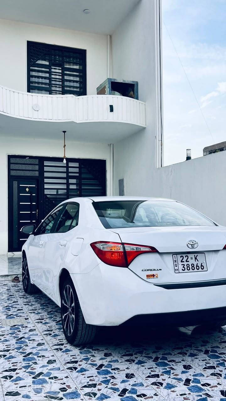 كورلا • ٢٠١٤ • رقم اربيل