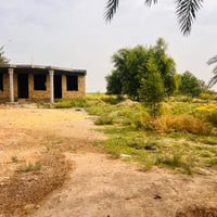 الموفقيه • ١٧ دونم • على الشط