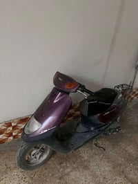 منغولي • ناصرية • للبيع
